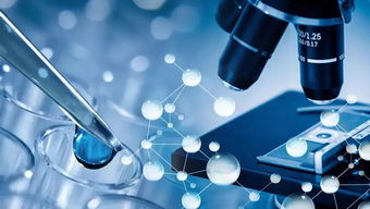 生物类似药研发中的技术转让 关键问题与策略解析